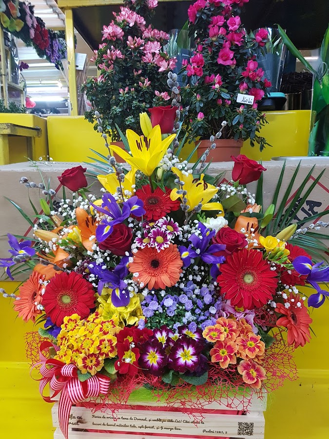 Foto von Floraria Vera