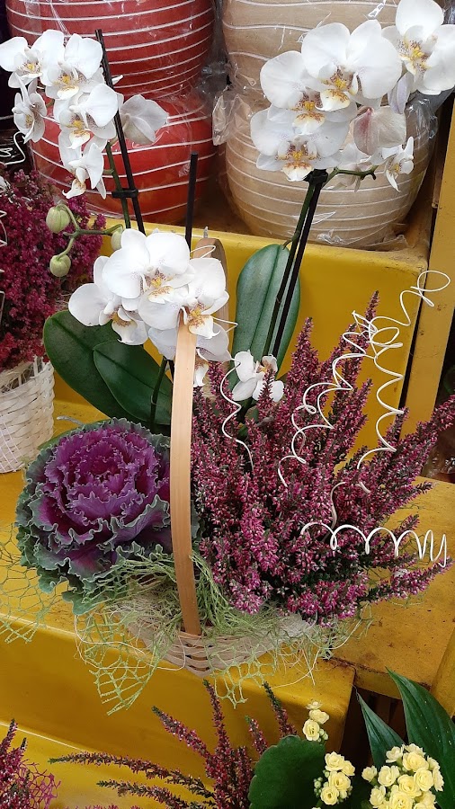 Foto von Floraria Vera