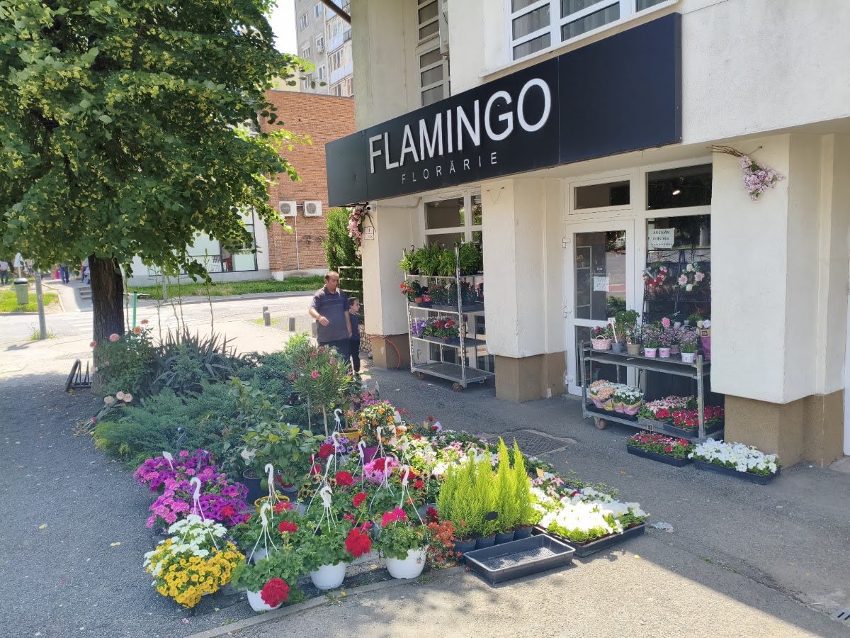 Photo of Florăria Flamingo Arad