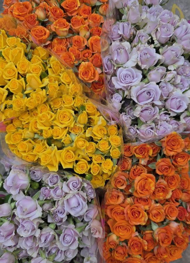 Foto von Depozit flori si plante, flori en gros Arad - IZA