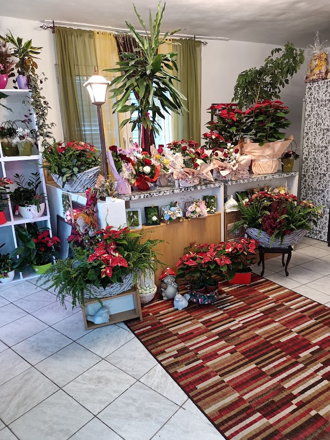 Foto von BellAndre Atelier