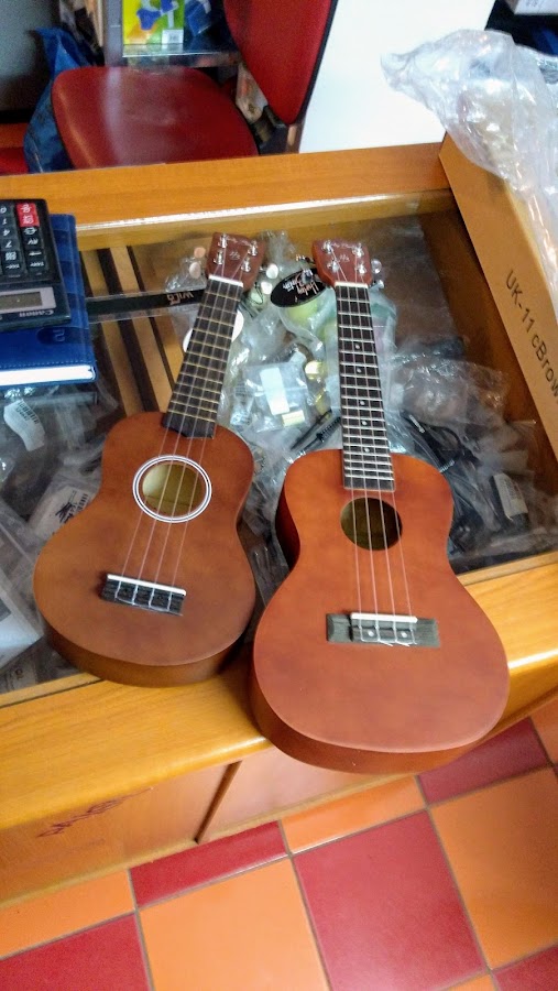 Photo of Triola Plus