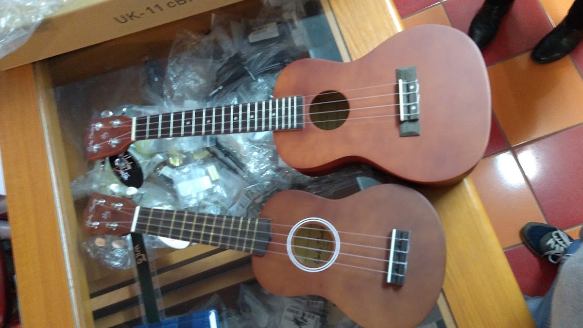 Photo of Triola Plus