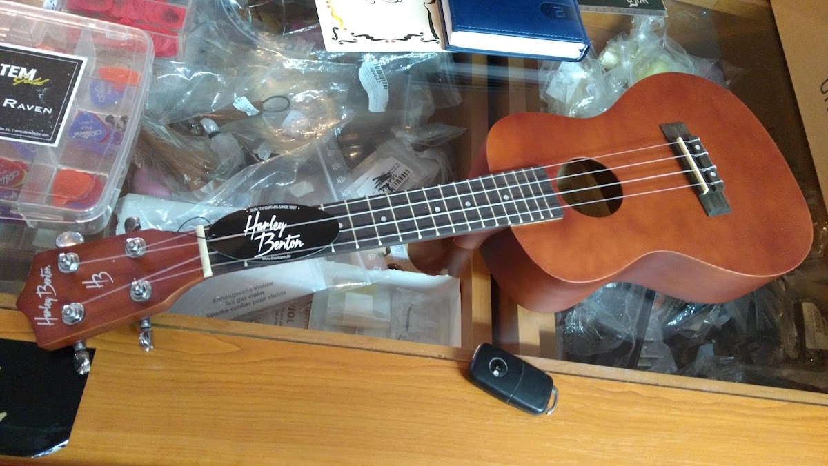 Photo of Triola Plus