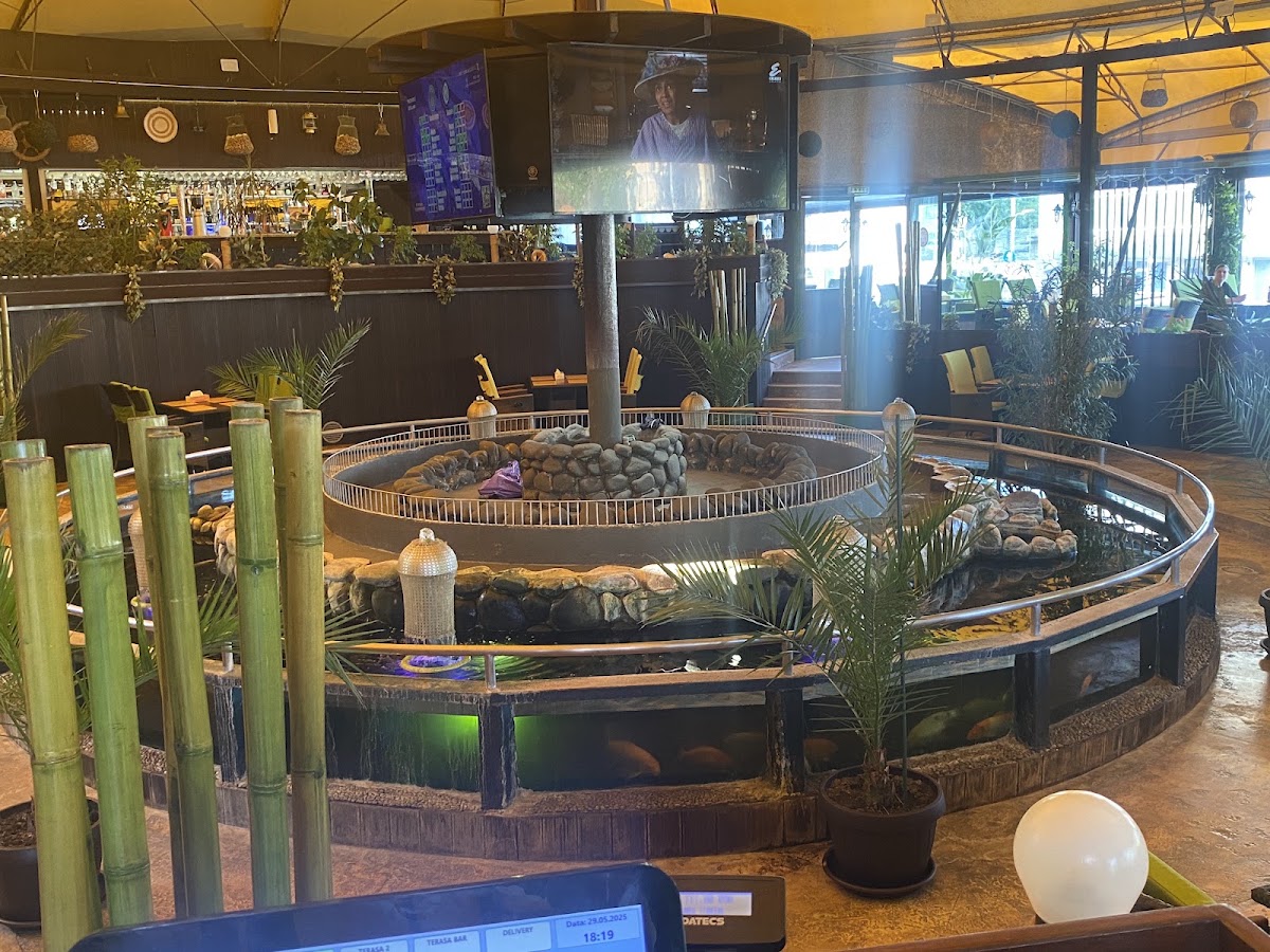 Foto von Restaurant La Scoica