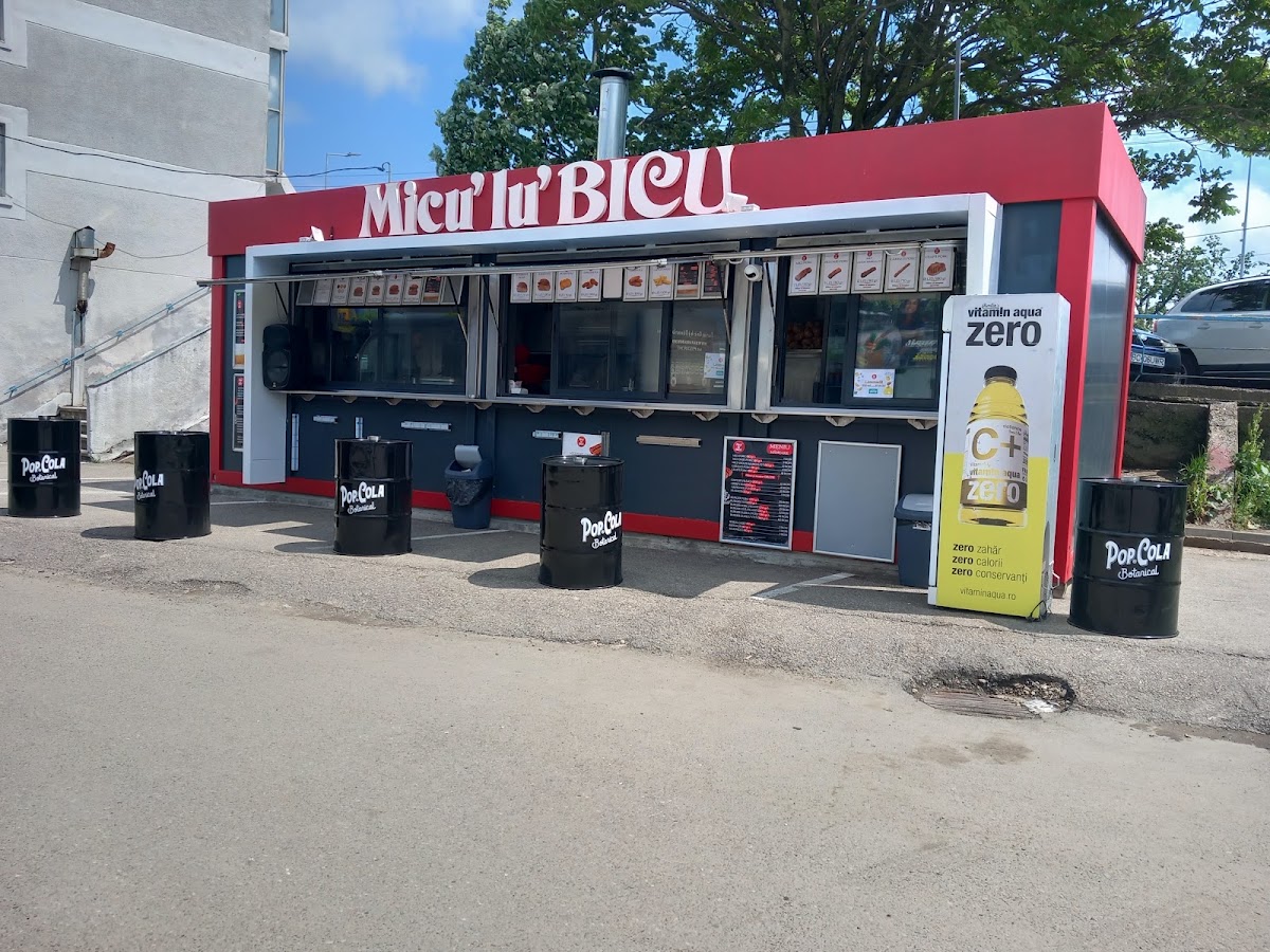 Photo of Bicu