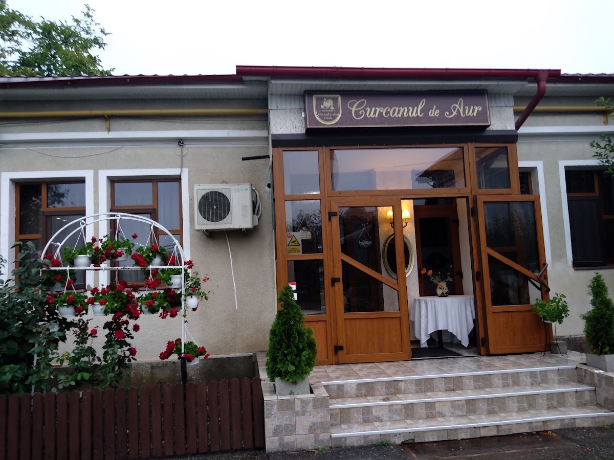 Foto von Curcanul de Aur - Restaurant Veranstaltungen, Hochzeiten, Taufen Bacau. Tagesmenü, Essenslieferung, Catering Bacau