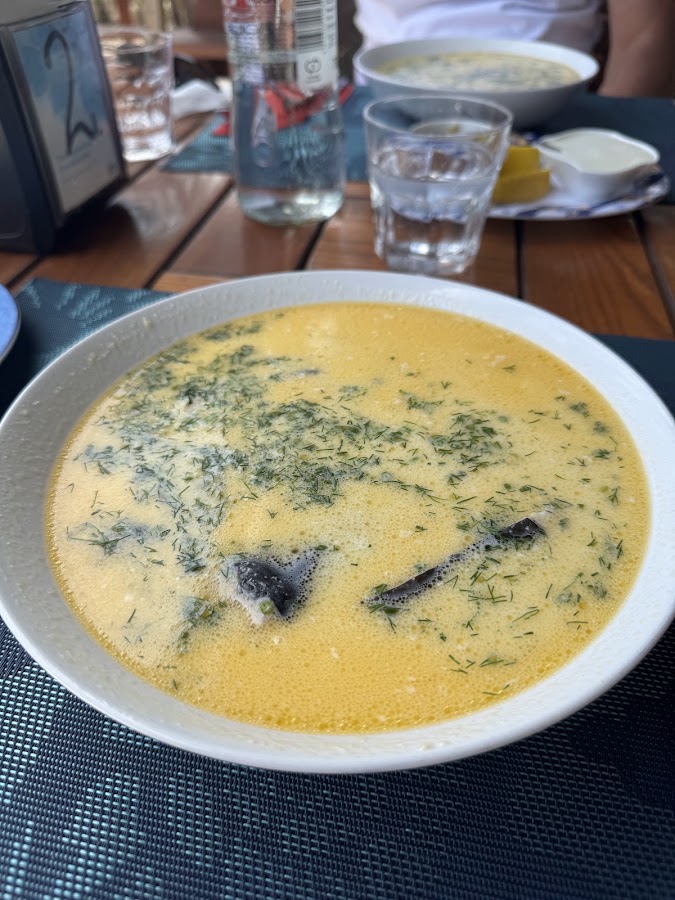 Photo of Fish for friends